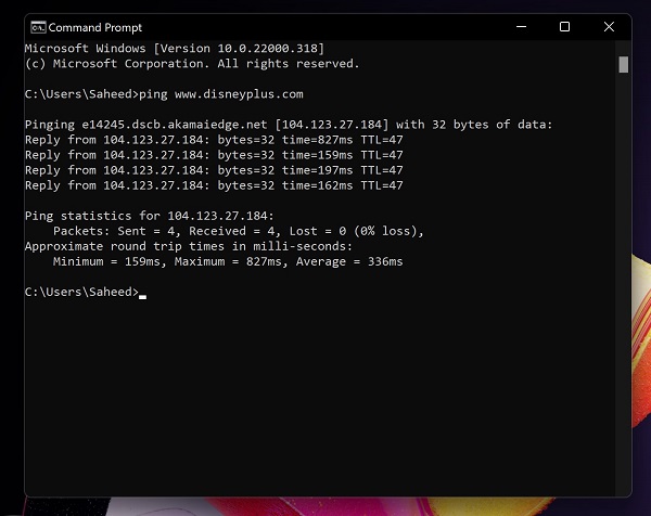 ping disneyplus website on windows