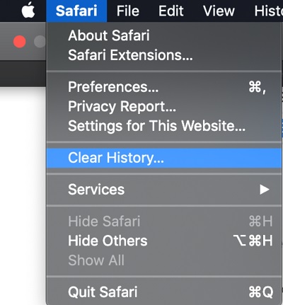 clear safari history