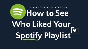 how to see who liked your Spotify playlist