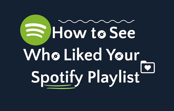 How to See Who Liked Your Spotify Playlist (QUICKLY!) in 2022 - TechProfet