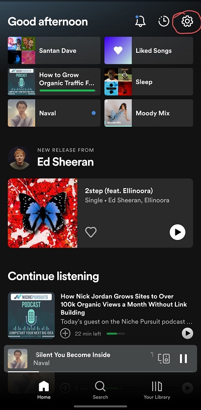 Spotify settings icon
