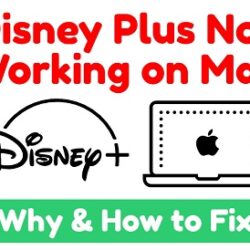 Disney Plus not working on Macbook
