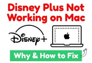 Disney Plus not working on Macbook
