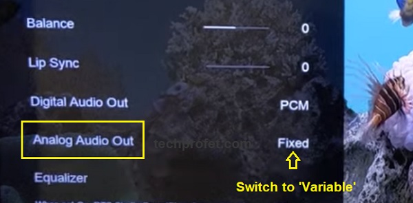 switch analog audio out to variable