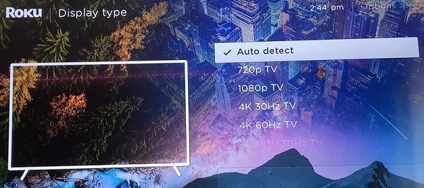 select a display type option